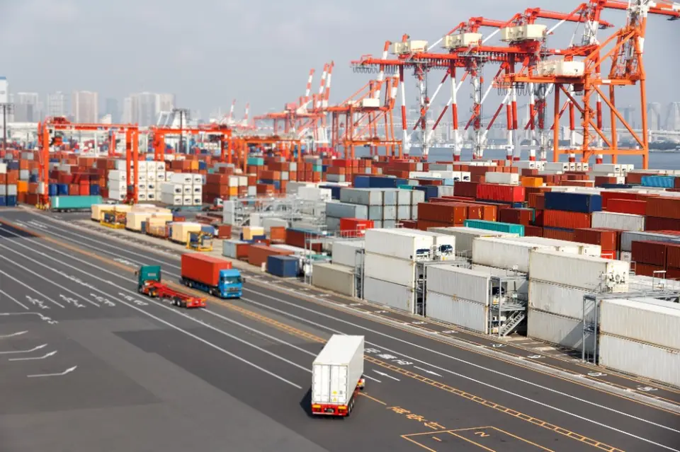 Logistics software development